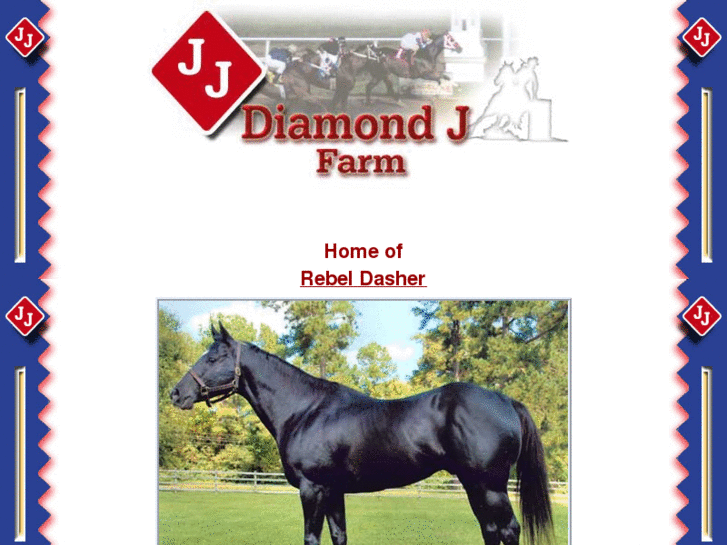 www.diamondjfarmhorses.com