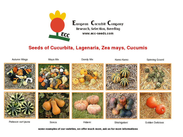 www.ecc-seeds.com