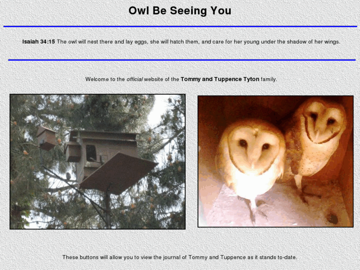 www.owlbeseeingyou.net