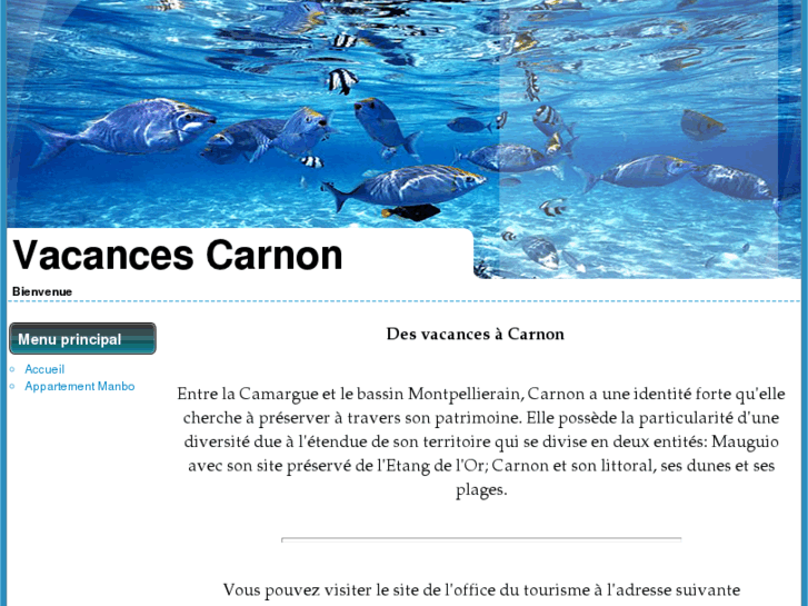 www.vacances-carnon.com