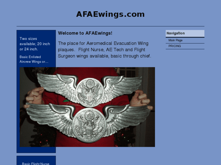 www.afaewings.com