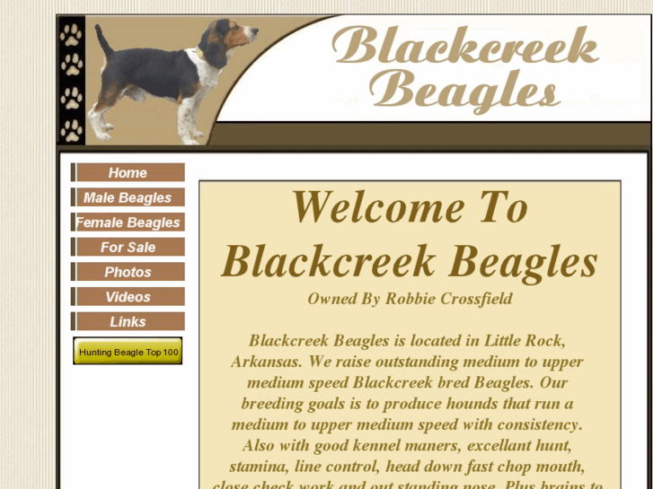 www.blackcreekbeagles.com