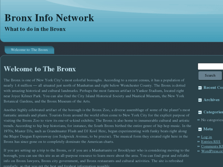 www.bronxinfonetwork.com