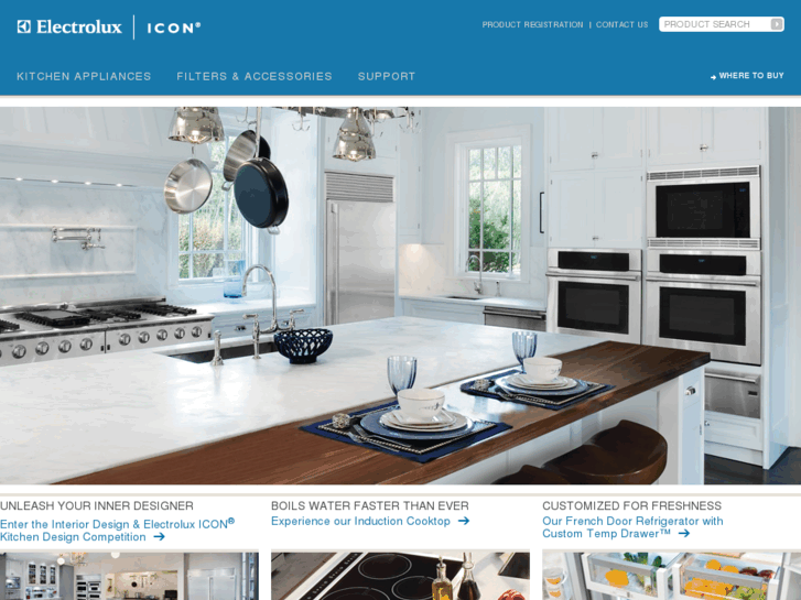 www.electroluxicon.com