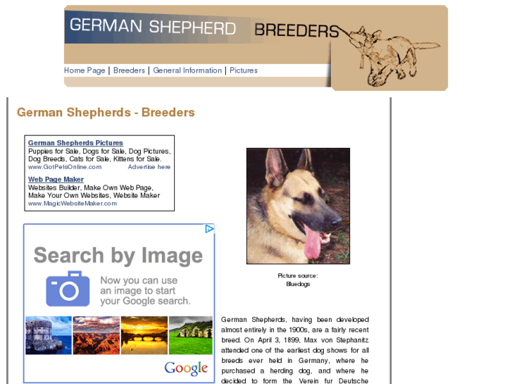 www.german-shepherds-breeders.com