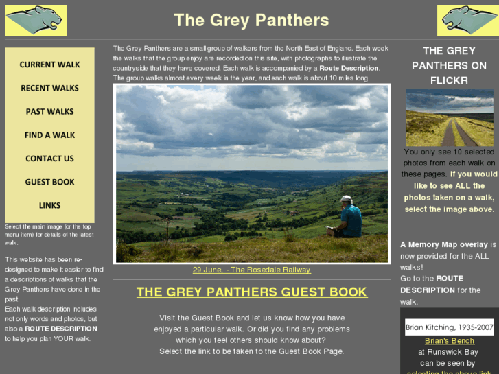 www.thegreypanthers.com