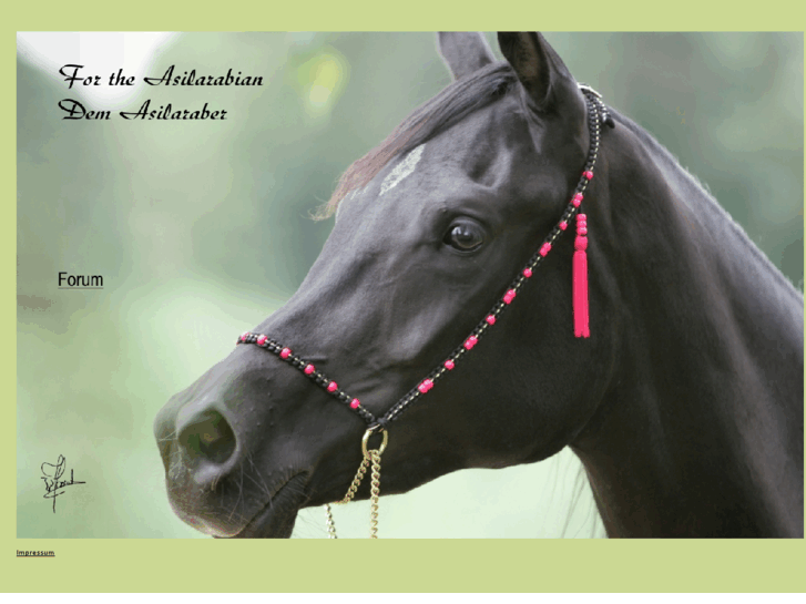 www.asilarabians-straightegyptians.com