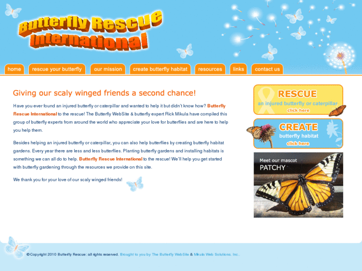 www.butterflyrescue.com