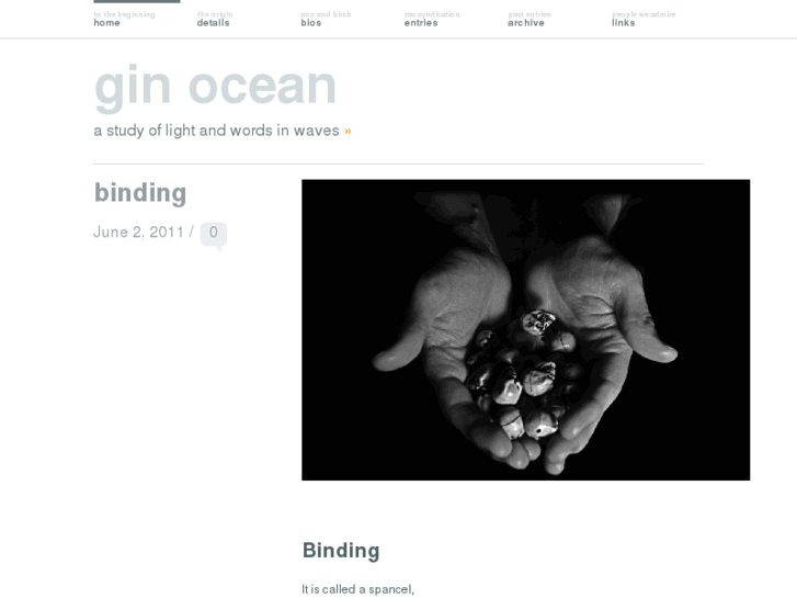 www.ginocean.com