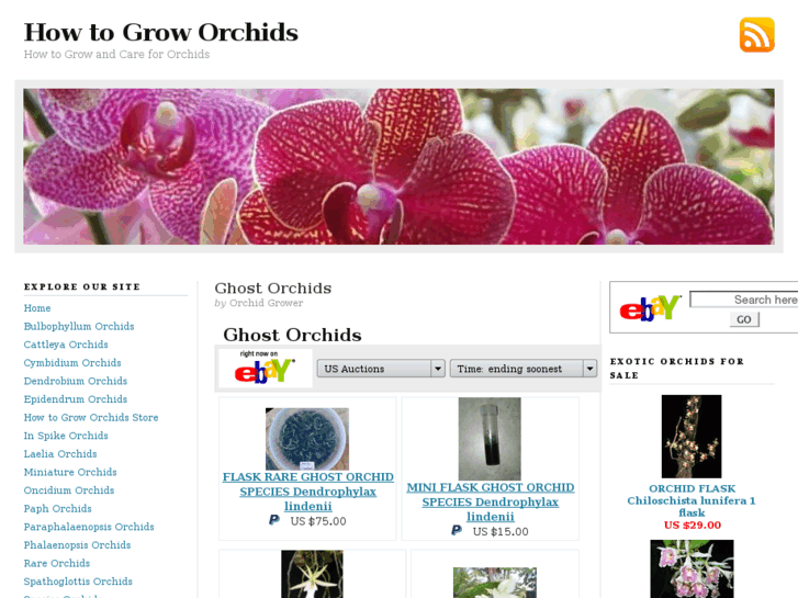 www.grow-orchids.net