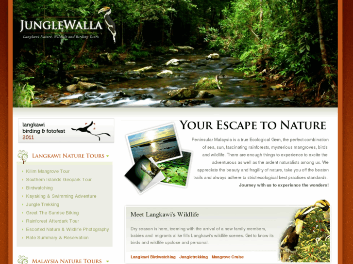 www.junglewalla.com