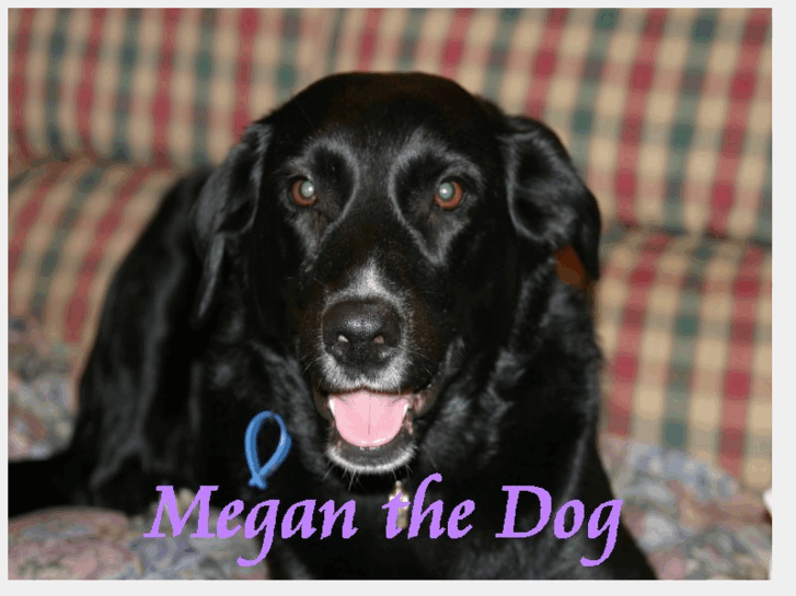 www.meganthedog.co.uk