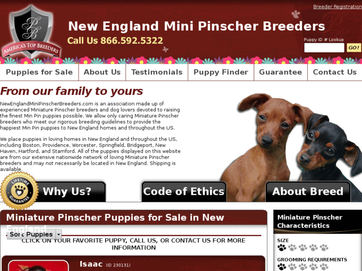 www.newenglandminipinscherbreeders.com