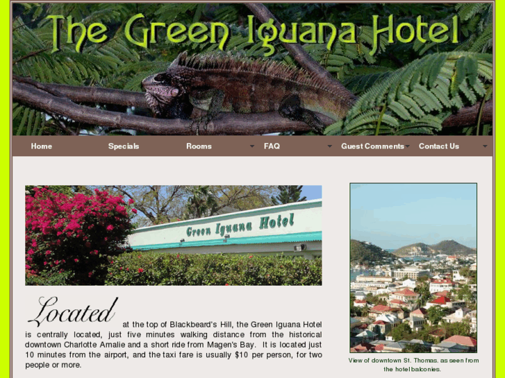 www.thegreeniguana.com