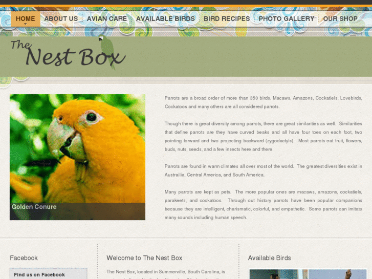 www.thenestbox.biz