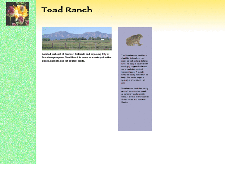 www.toadranch.com