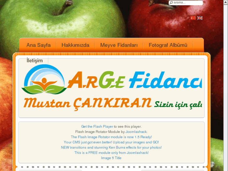 www.argefidancilik.com.tr