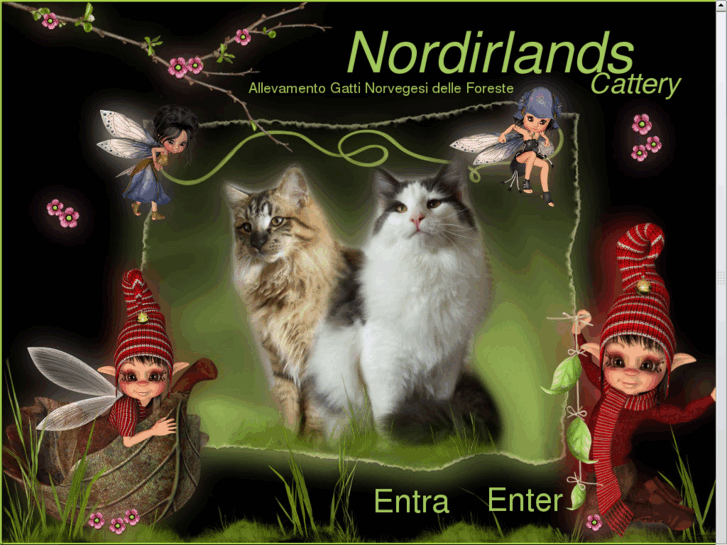 www.nordirlands.com