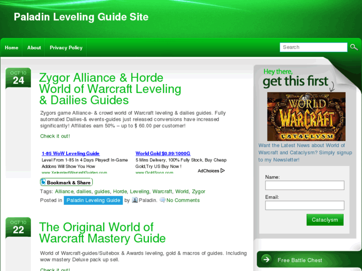www.paladin-leveling-guide-site.info