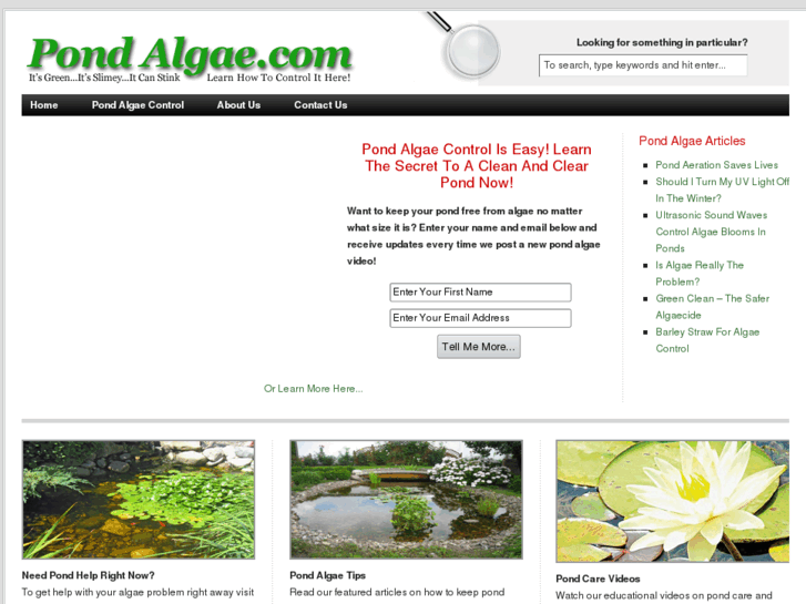 www.pond-algae.com