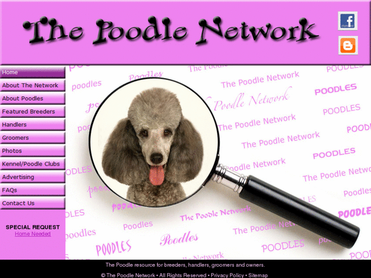 www.poodlenetwork.com