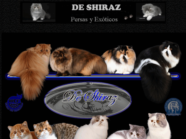 www.shirazcattery.com