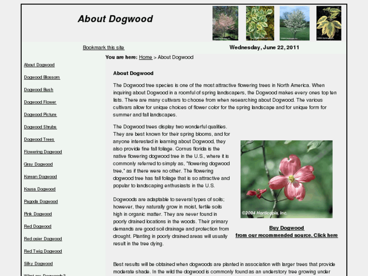 www.aboutdogwood.com