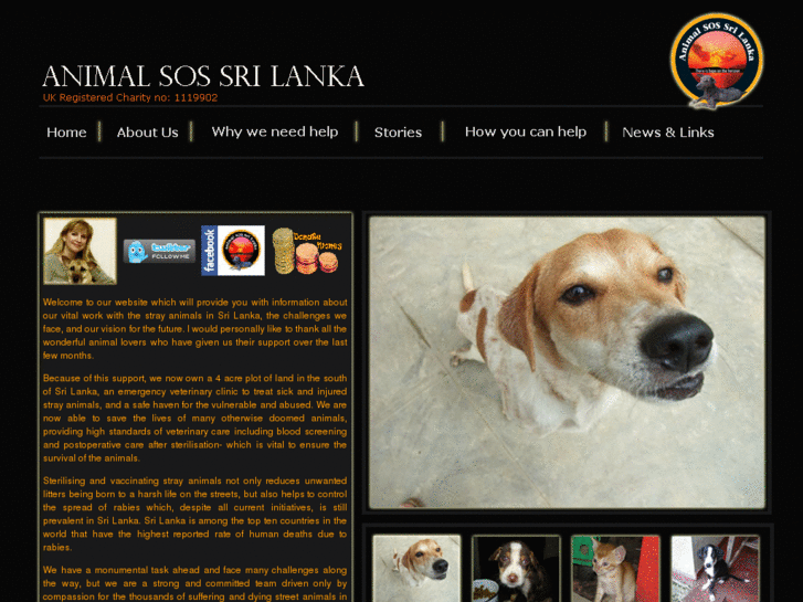 www.animalsos-sl.com