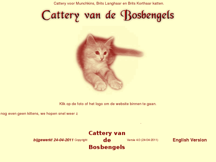 www.bosbengels.com