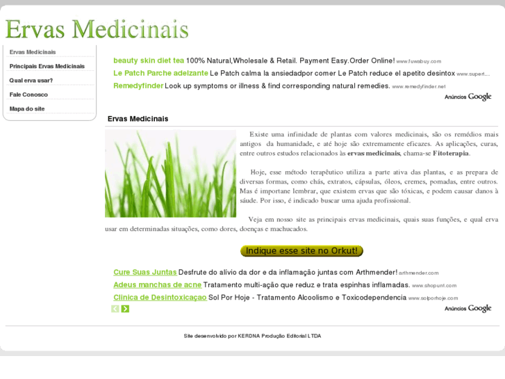 www.ervas-medicinais.info