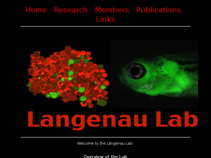 www.langenaulab.com