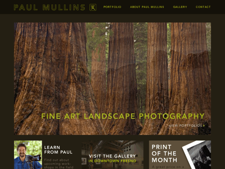 www.paulmullinsphoto.com