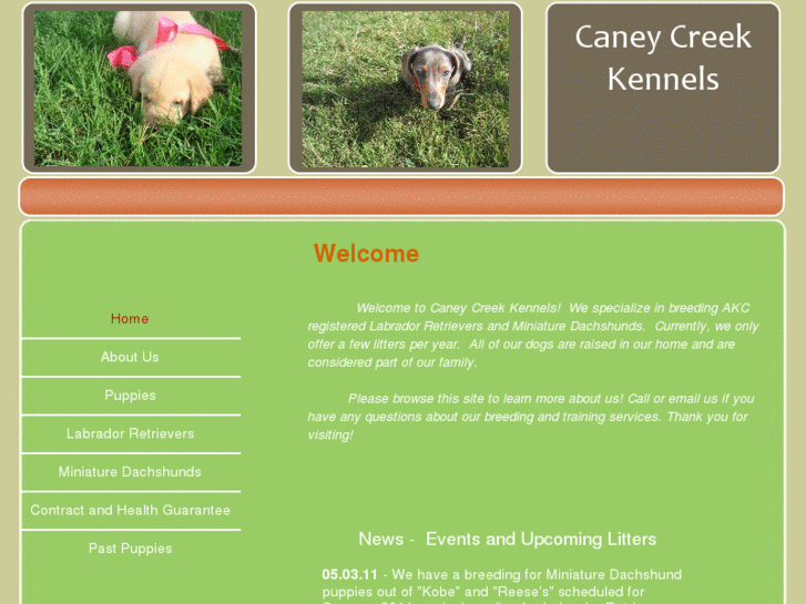 www.thecaneycreekkennels.com