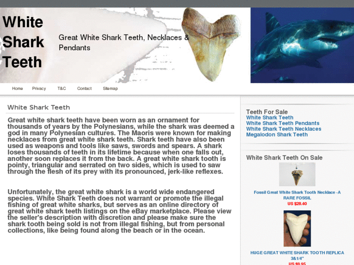 www.whitesharkteeth.com