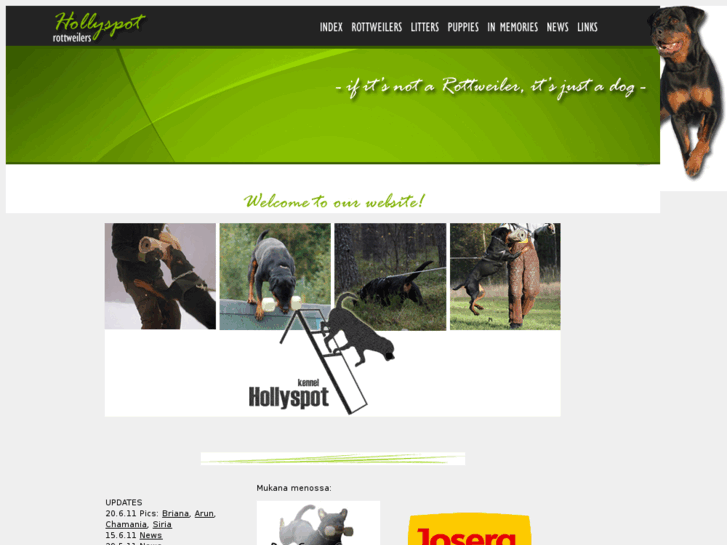 www.hollyspot.info