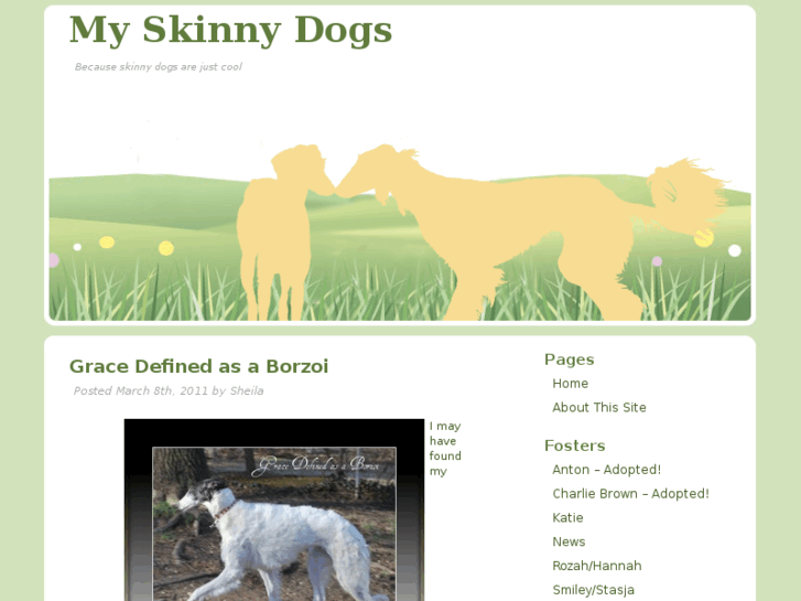 www.myskinnydogs.com