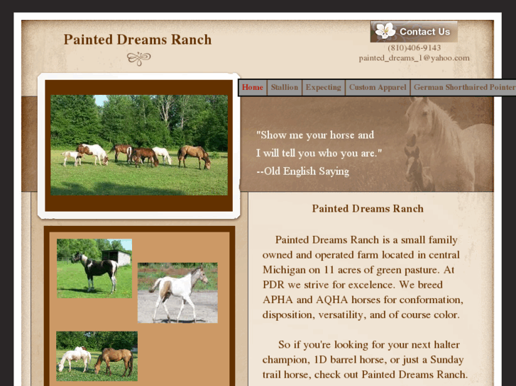 www.painted-dreams-ranch.com