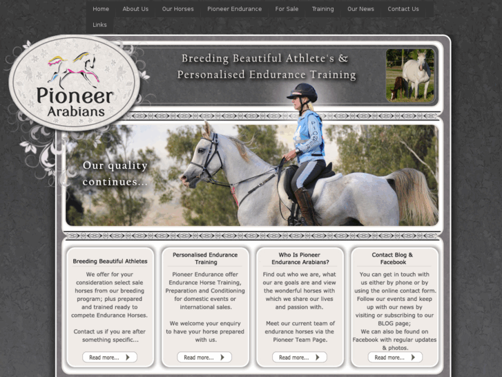 www.pioneerarabians.com