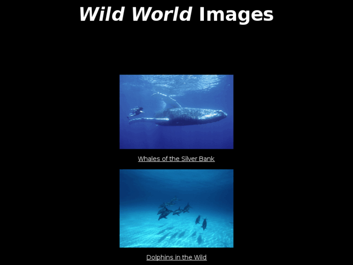www.wildworldimages.com