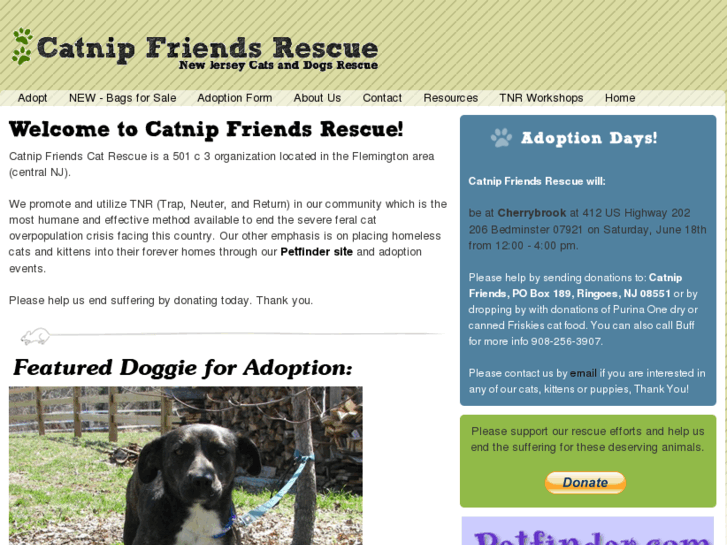 www.catnipfriendsrescue.com