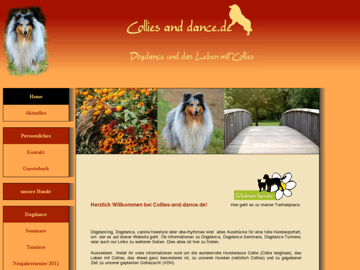 www.collies-and-dance.de