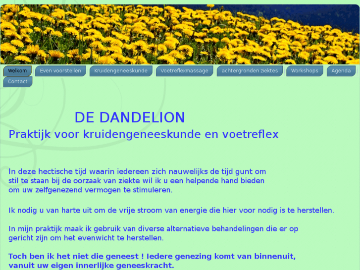 www.dedandelion.nl