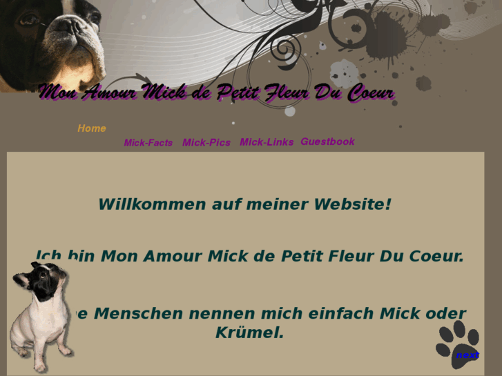 www.freitagswelt.com