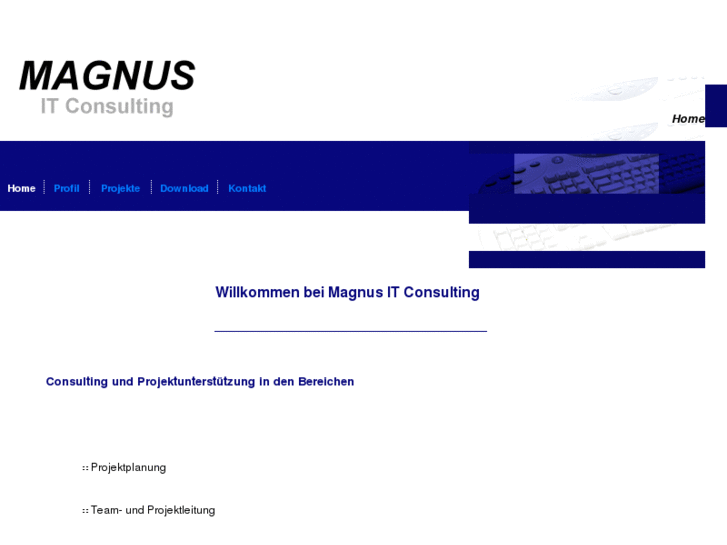 www.magnus-it.com