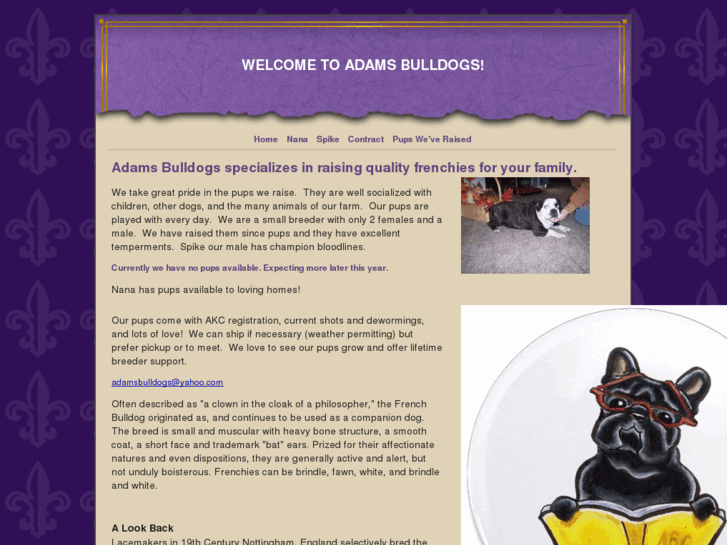 www.adamsbulldogs.com