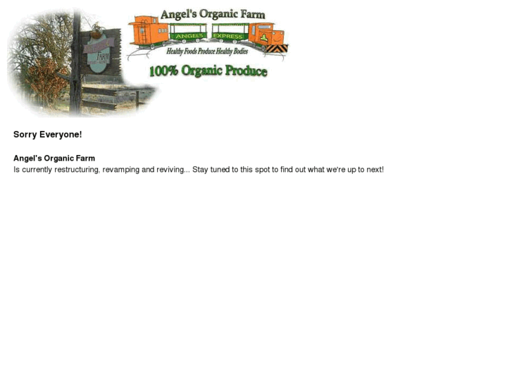 www.angelsorganicfarm.com