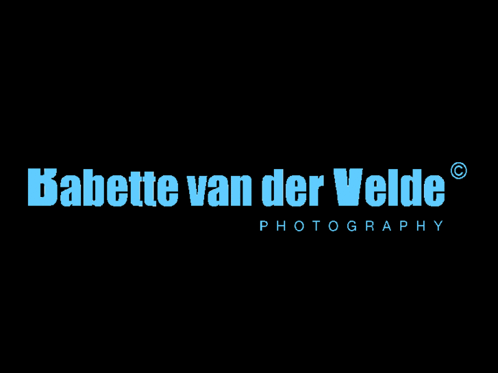 www.babettevandervelde.com