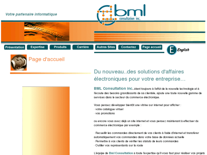 www.bmlconsult.com