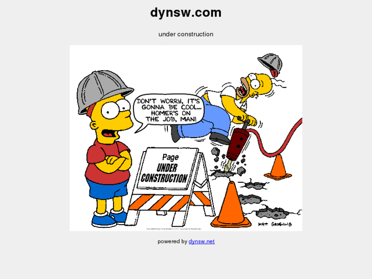 www.dynsw.com