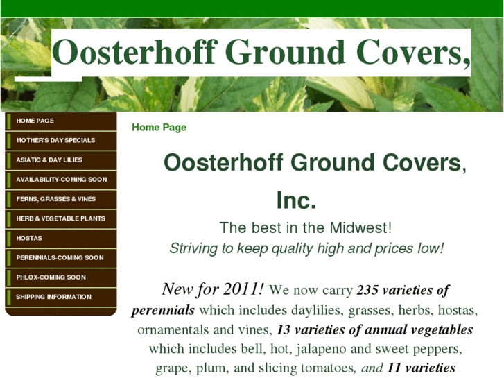 www.oosterhoffgroundcovers.com